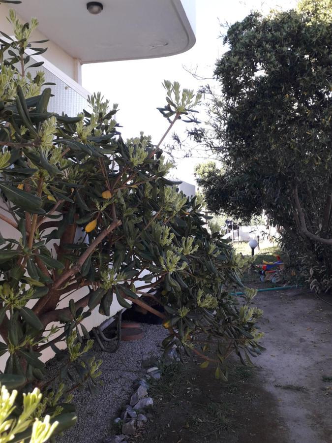Silvi Mari Apartments Platanes  Zewnętrze zdjęcie
